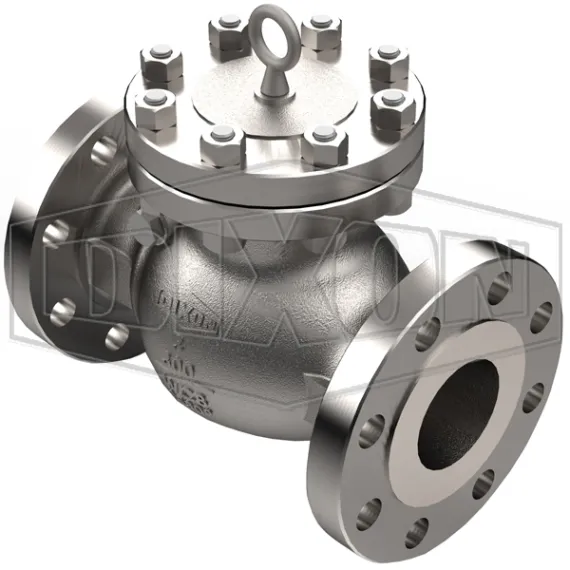 dixon-eagle-check-valve
