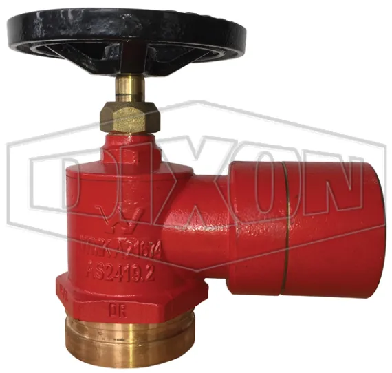 roll grooved hydrant valve bi connection wa