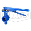 Grooved End Iron Butterfly Valve