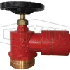 roll grooved hydrant valve bi connection wa